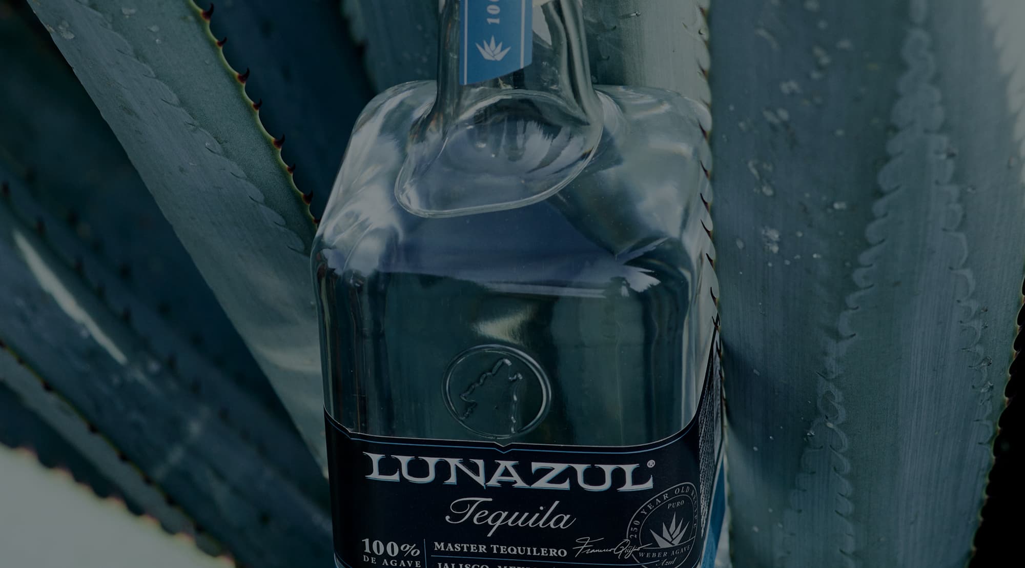 Our Tequila Navigation Background Image