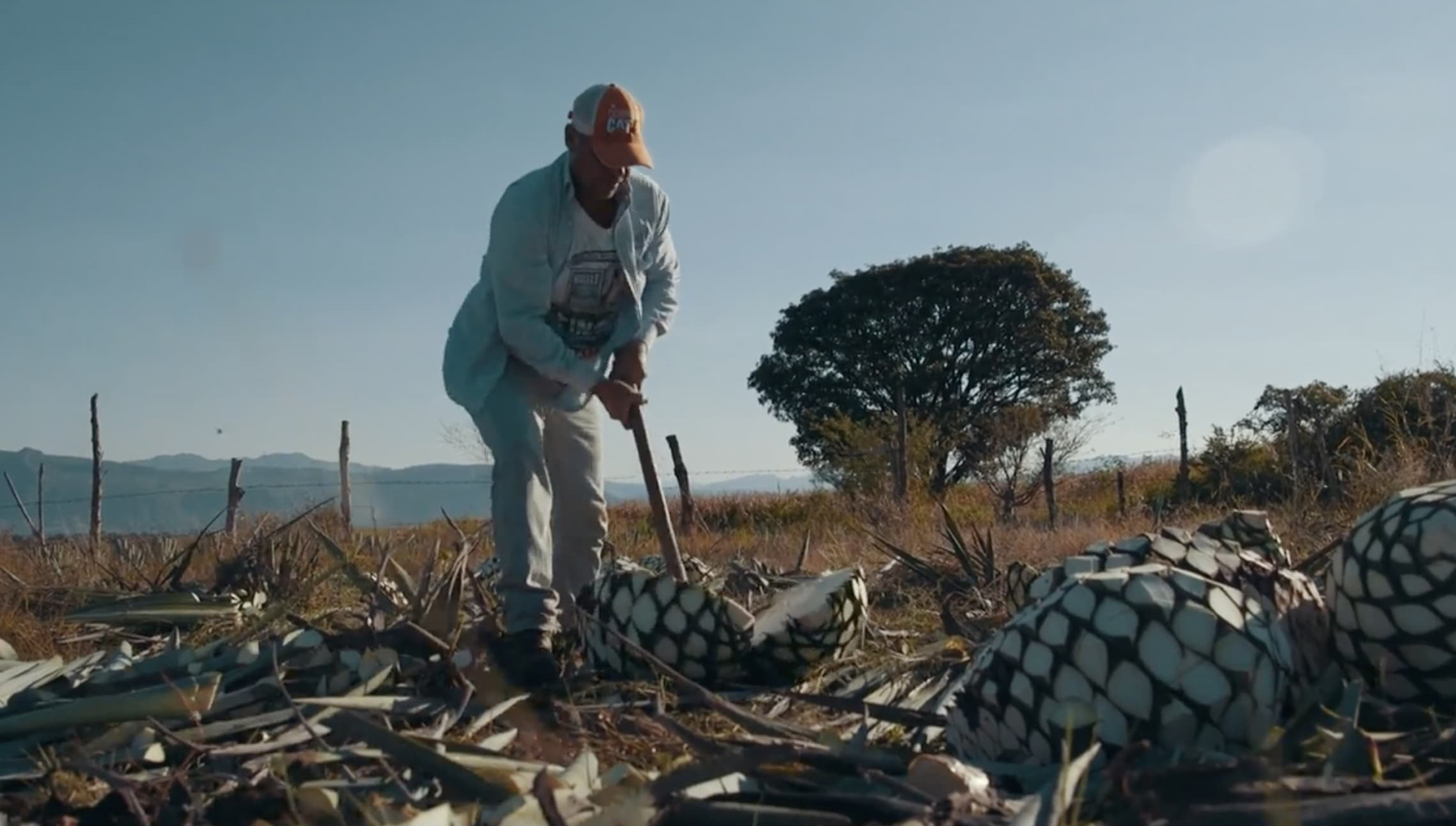 Tequila process image as background