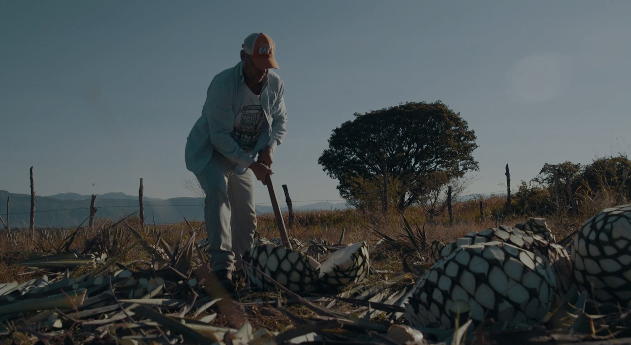 Tequila Process Lunazul Tequila | Our Process