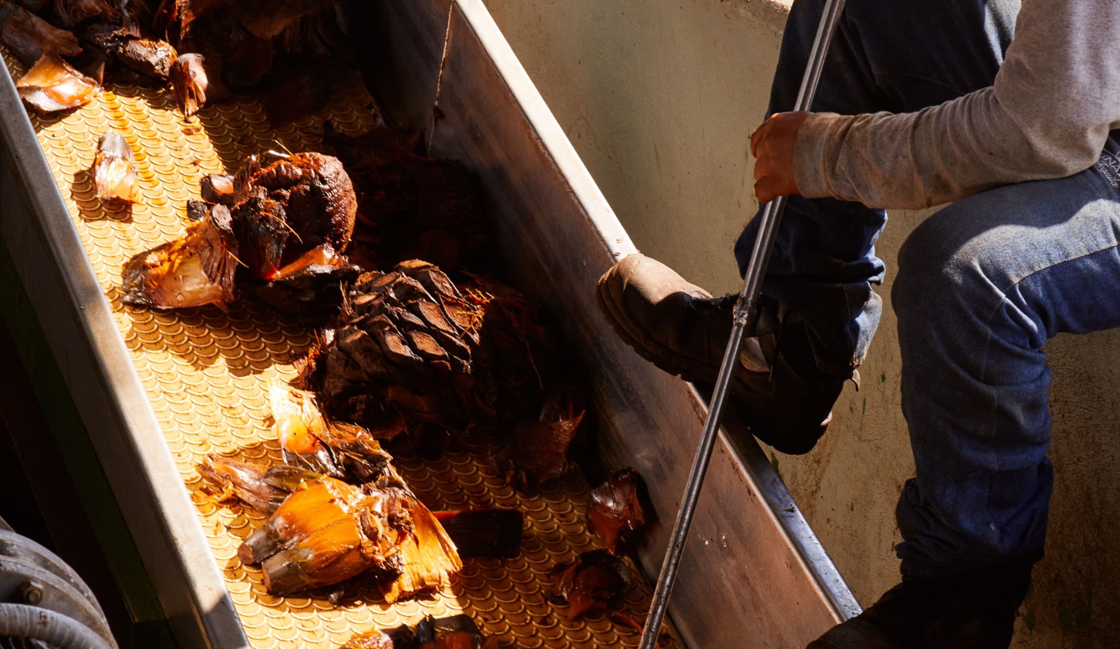 Tequila process image as background