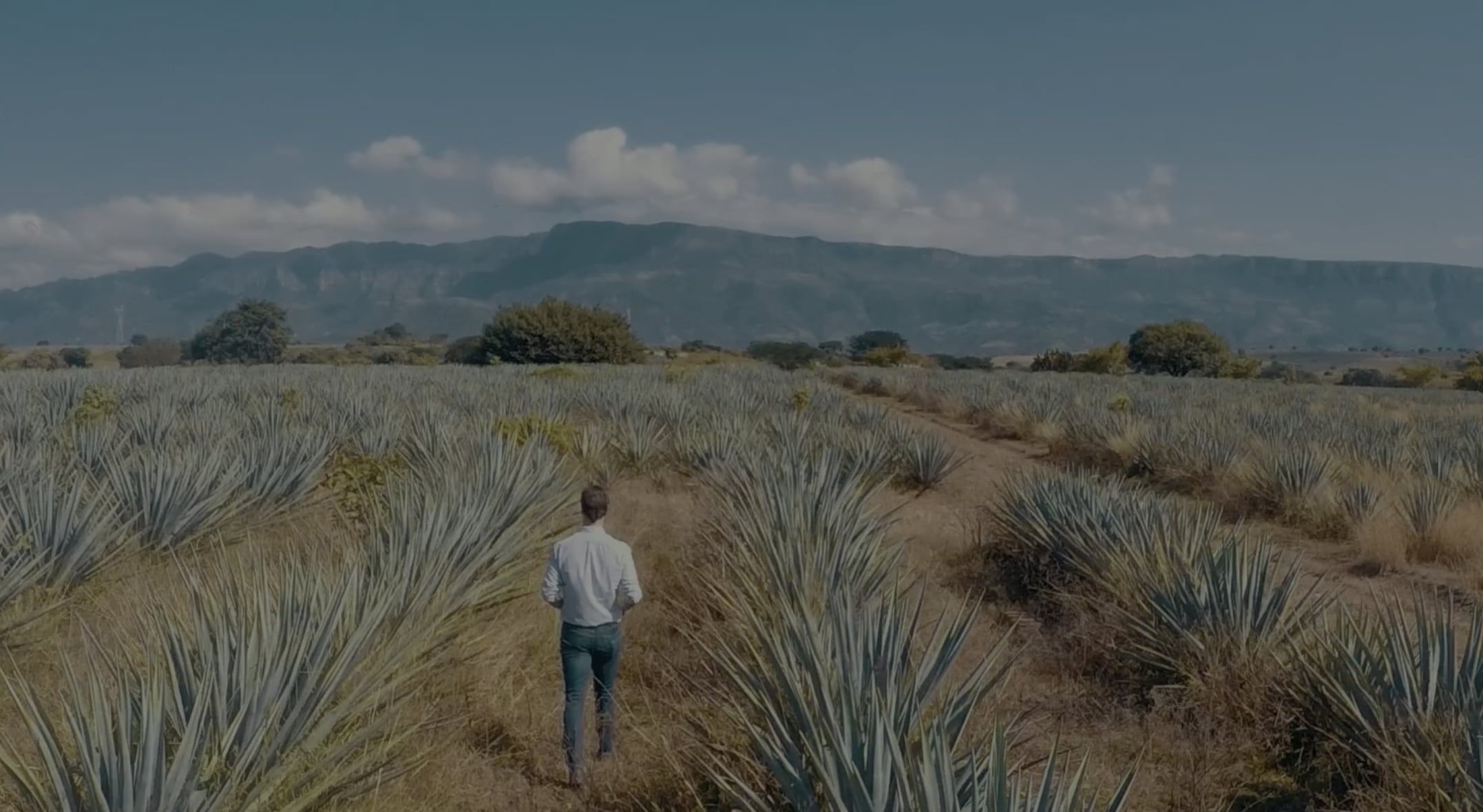 Tequila Process Lunazul Tequila | Our Process