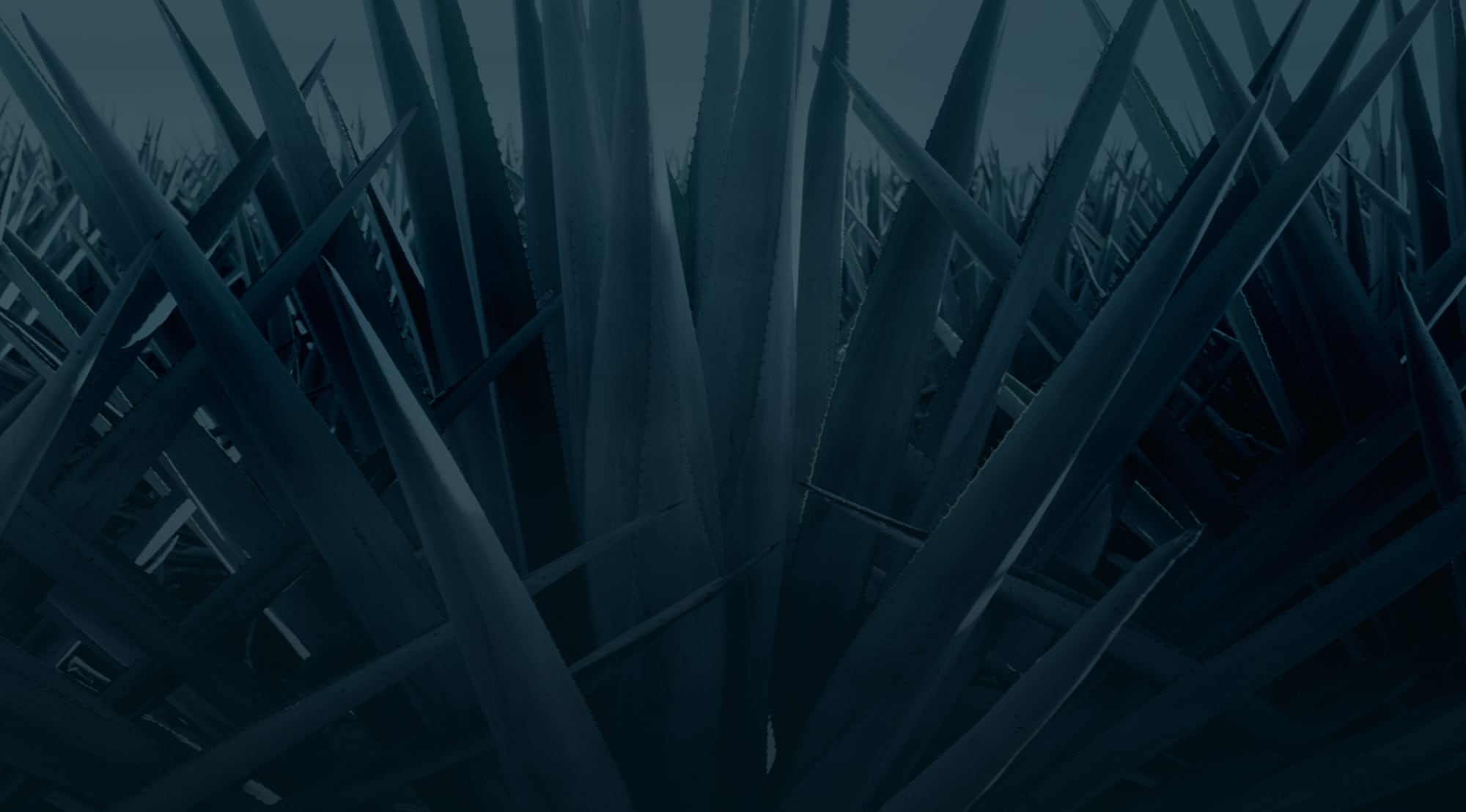 Sweepstakes Navigation Background Image